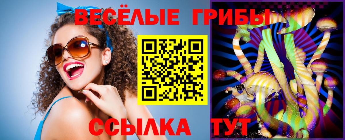 Малоярославец  Псилоцибиновые грибы Magic Shrooms  Псилоцибиновые грибы Cubensis  Вход с VPN 